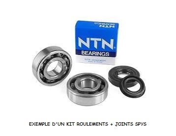 KIT ROULEMENTS DE VILEBREQUIN ET SPYS VITON NTN DERBI 50 SENDA/GPR - GILERA 50 SMT/RCR (MOTEUR EURO 2 / EURO 3)